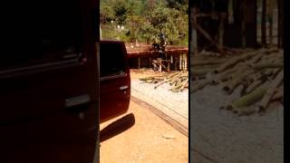 VID 20170323 112312