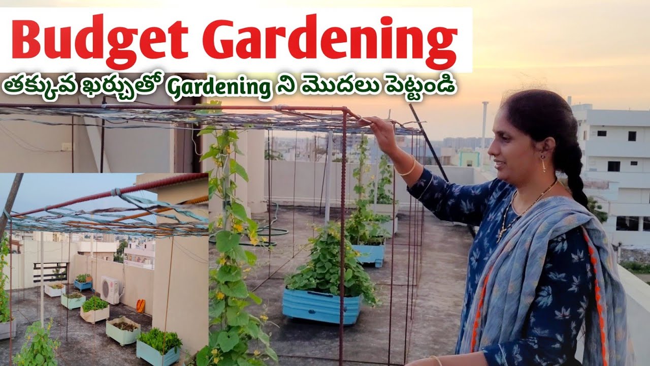 how to start a terrace garden cheapest cooler tubs for gardening