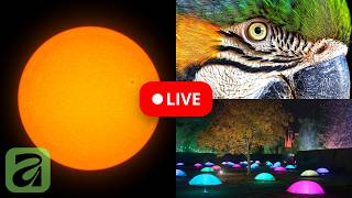 Affinity LIVE: New 3.2 and 3.1 features for image/photo editing