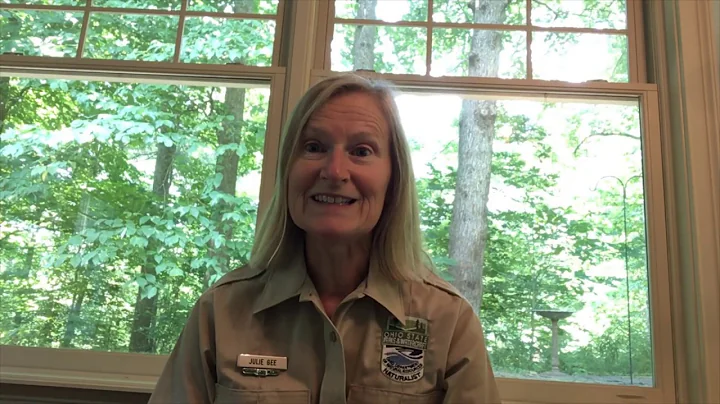 Nature Journaling with Julie from Burr Oak