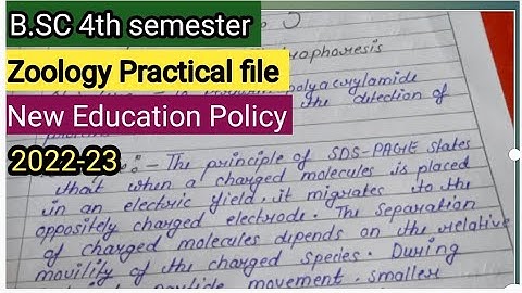 B.SC 4th Semester/Zoology Practical file/Practical file kaise banaen/ Csjmu