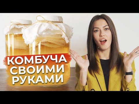 Чайный гриб – ЭТО ПОЛЕЗНО! / Как приготовить комбучу в домашних условиях?