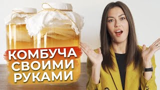 Чайный гриб - ЭТО ПОЛЕЗНО! / Как приготовить комбучу в домашних условиях?