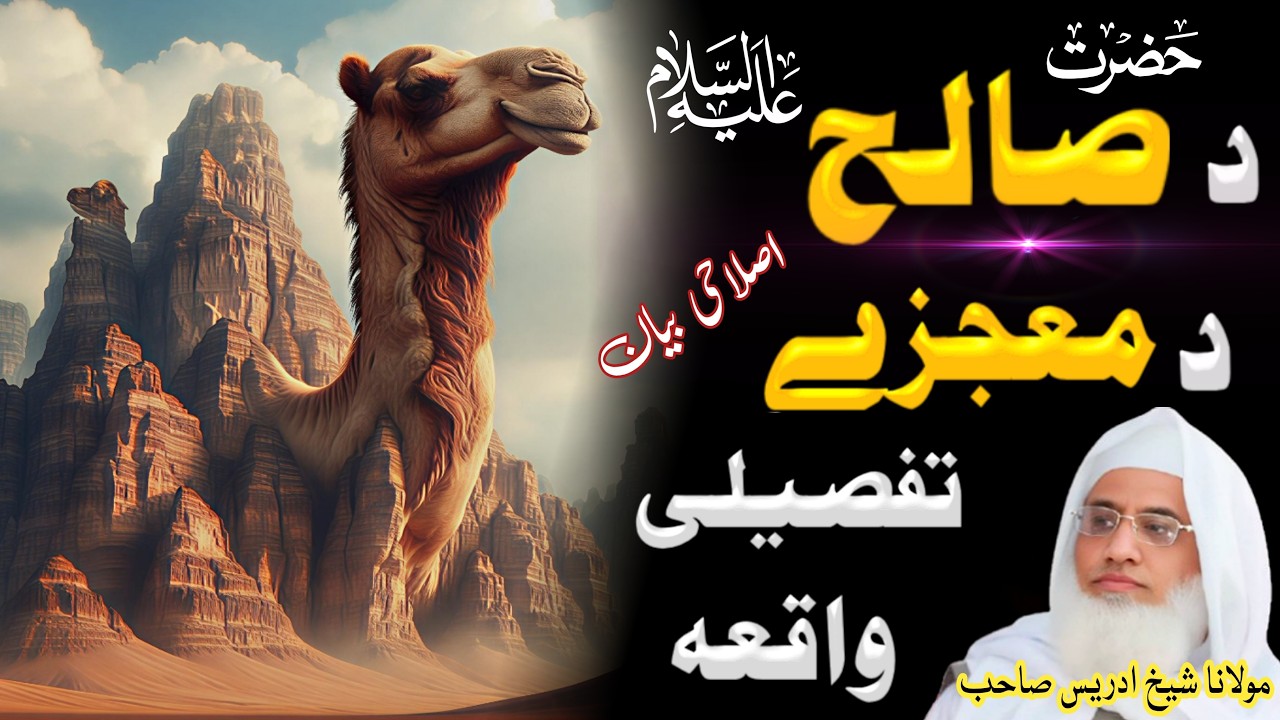 Da Hazrat Salih AS Da Mujize Tafsile Waqia | Molana Shaikh Idrees Sahib | Pashto Bayan