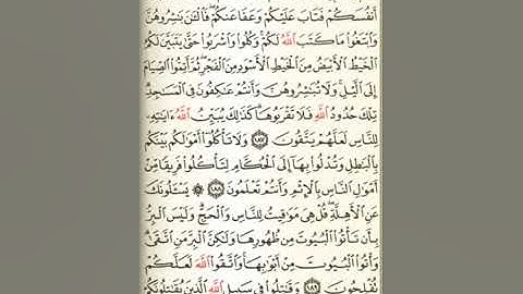 سورة البقرة(ص29)الشيخ ماهر المعيقلي 🌺
