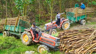 The Girl Drove a Truck to Transport a lot of Firewood to the villagers. Repurpose the goat pen