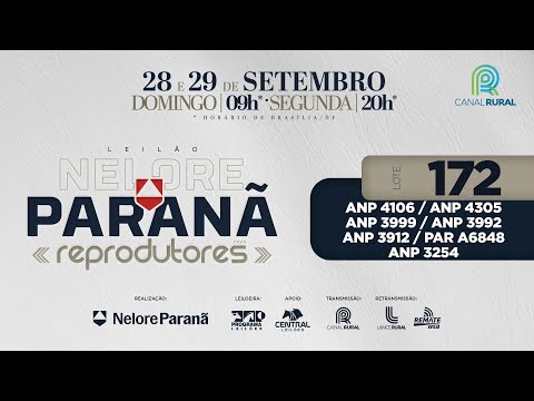 LOTE   172 MEGA 1