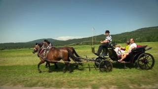 Pivka - Turistični Video