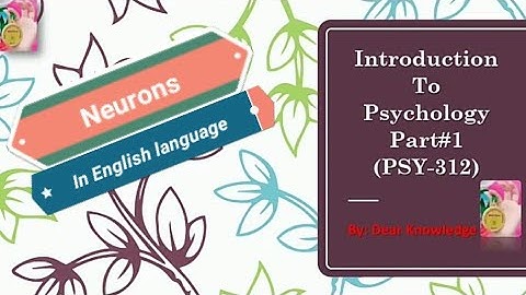 Neurons | biological bases of behaviour | in English language | by Dear Knowledge