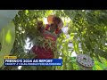 Fresno back on top of agricultural production in the US, but farmers fear for future