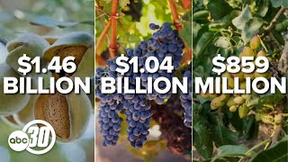 Fresno Back On Top Of Agricultural Production In The Us, But Farmers Fear For Future