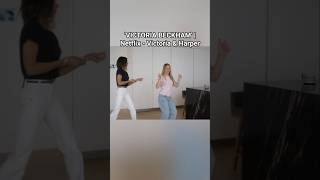 Victoria Beckham Netflix - Victoria & Harper