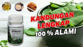 100 % AMAN & ALAMI ! Inilah Kandungan Kapsul Daun Binahong Inayah Untuk Atasi Berbagai Penyakit