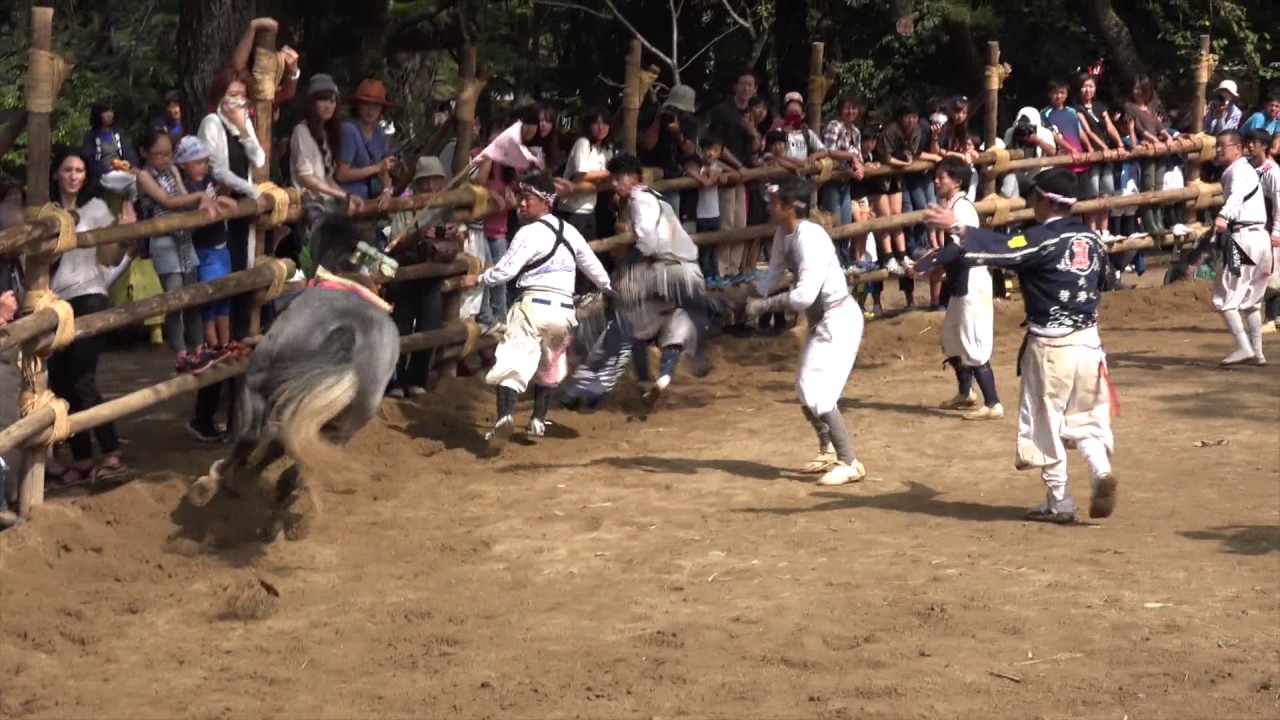 高浜おまんと祭り その4