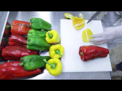 Vídeo: Preparacions Per A L’hivern Amb Pebrot