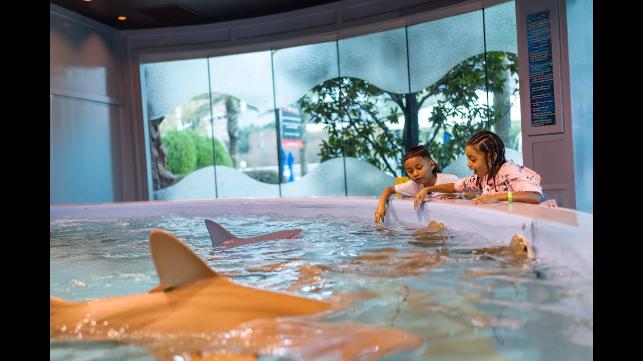 Keimyn's Creature Adventures: Exploring the Wonders of Houston's Downtown Aquarium!