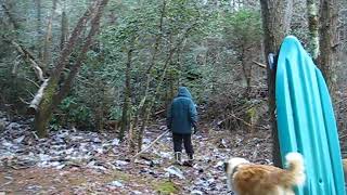 MVI 0166 Walk Clear Creek pt 2