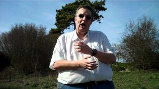 Celebrity Languages Used for Event Driven Programming Net Worth