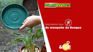 Como acabar com foco de mosquito?