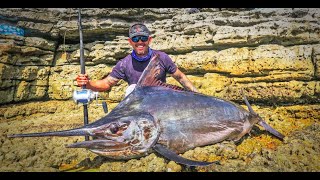 Incredible Footage of MASSIVE 144kg Black Marlin Caught Off The Rocks at Jervis Bay, NSW