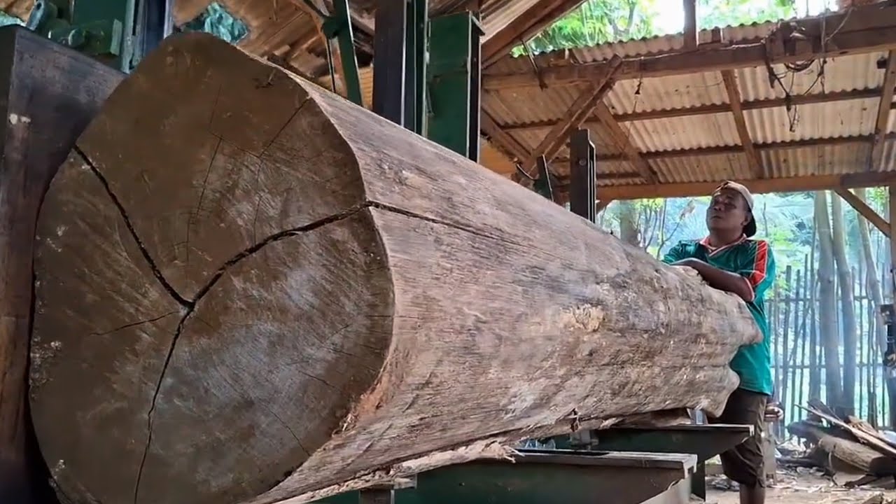 The process of sawing old teak wood with luxurious and beautiful fibers ...