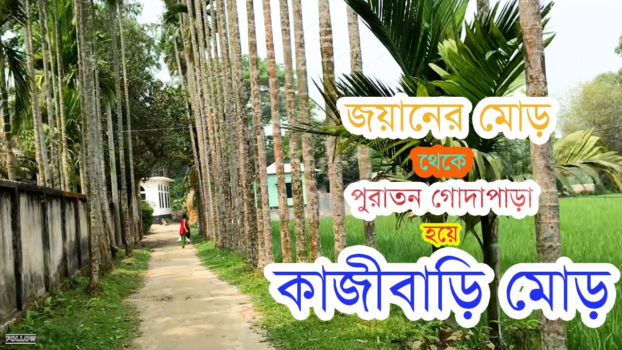জয়ানের মোড় থেকে পুরাতন গোদাপাড়া হয়ে কাজীবাড়ি মোড় | Narundi | Travels Bangla
