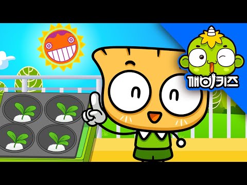물에서도 자라요 | <strong>동물과식물</strong> | 깨비키즈 KEBIKIDS
