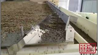 coffee beans , graviry separator