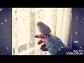 رضا أنا آشتريتك بعتني A 