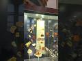 Fossil musium inside, Bathurst (1) #aafreenmomin #musium #insidemusium #history #australia #like