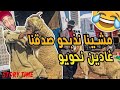 مشينا نصلخو حولي صدقنا صالخين ترمة