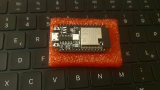 Programming 101: writing a RISCV assembler - the worlds smallest! Net Worth