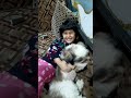 chaddi Baddi #song #funny #shorts #shortvideo #short #shortsfeed #love #dog
