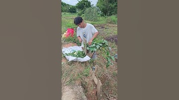 Creative Guard! Wooden Pegboard for Safe Cutting