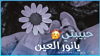 اجمل حالات واتس اب حب | اغنية مشهورة عالتيك توك حبيبتي يانور العين وردة وردة 🥀