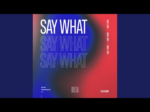 在 YouTube 上觀看「Say What」