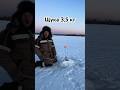 Щука на жерлицу. Шакша #забайкальскийкрай #рыбалка #щука #жерлицы #шакша