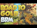 Black Ops 3: Road to Gold (BRM)