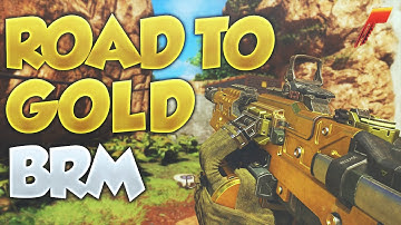 Black Ops 3: Road to Gold (BRM)