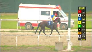 Vidéo de la course PMU DEPORTE REGIONAL-39 ANOS H.