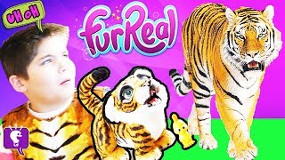kids buy pet tiger furrreal talking animal toy review kids adventure fun hobbykidstv