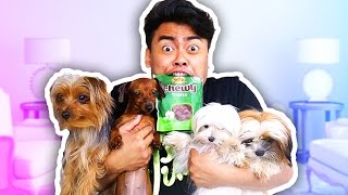 EATING PUPPY SNACKS WITH PUPPIES CHALLENGE!