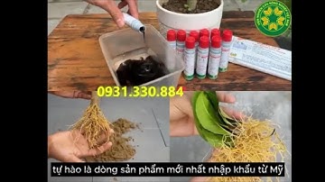 Thuốc Kích Rễ Cực Mạnh - Roots New - Siêu Ra Rễ, Giâm Chiết Cành 3