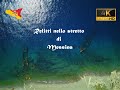 Relitti nello Stretto di Messina 4K