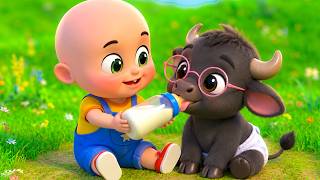 baby lola buffalo care feed compilation old macdonald song