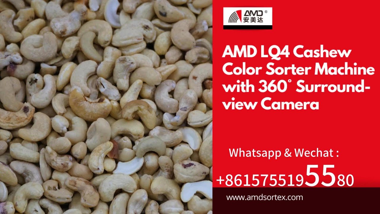 Cashew sorting case with LQ4 Sorting machine - YouTube