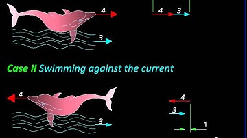 Physics with MicroStation Vectors and Scalars
