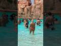 🌞Summer holiday in the world's most famous aquapark and water slides#aquapark #waterpark #lazyriver