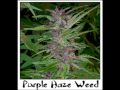 *De La Ghetto Ft. Willy Cultura - Yo Fumo (I Love Marihuana) (Power Point Version) 2009*