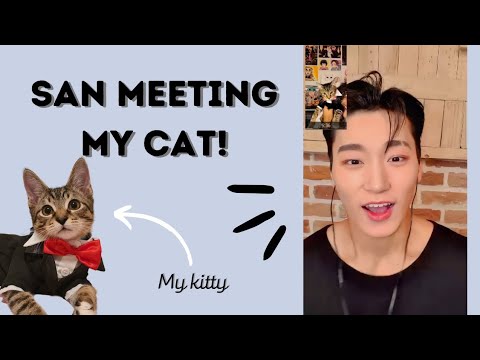 San Meeting My Cat Pickles!!